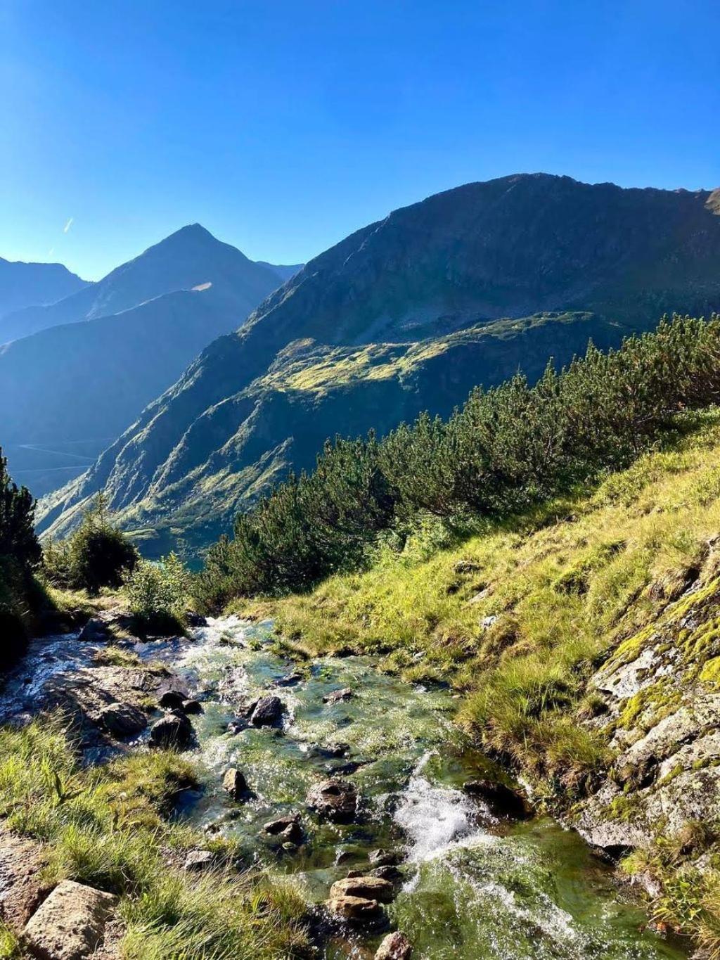 Ferienwohnung Angerer Bad Mitterndorf Bagian luar foto